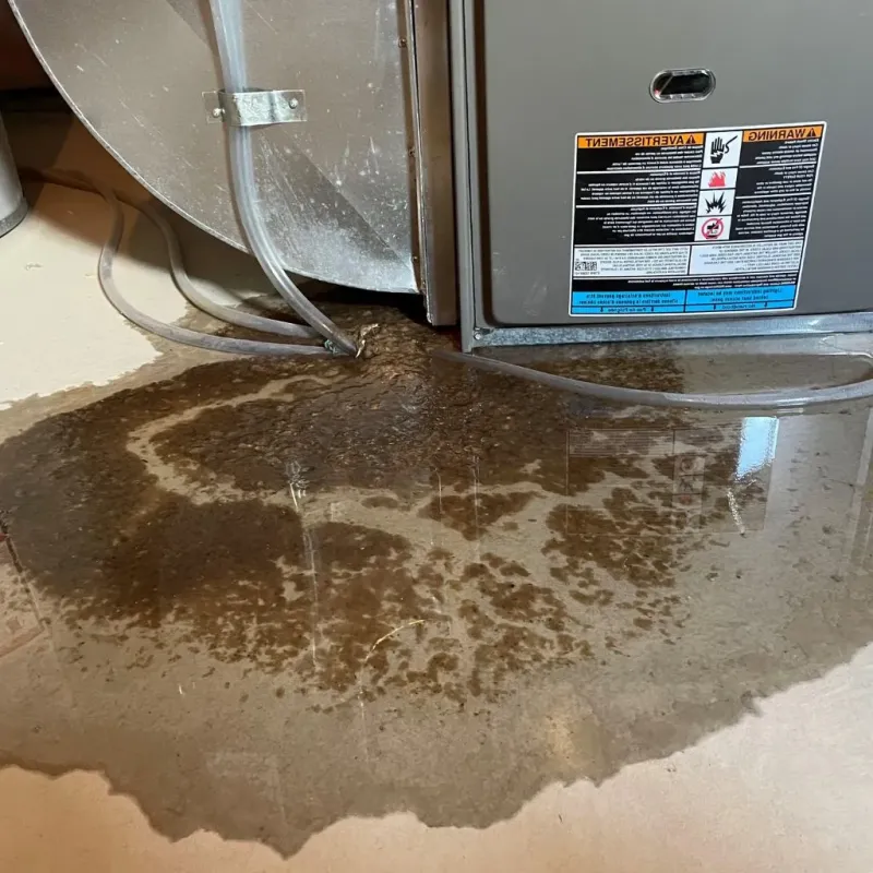 Pipe Burst and Leak Restoration in Chillum, MD