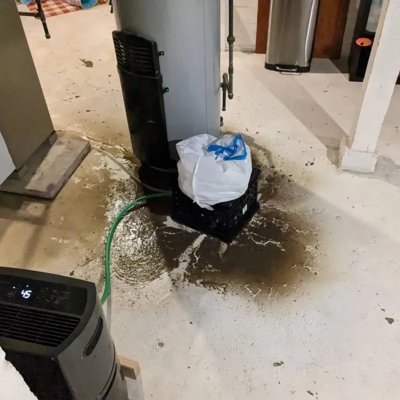 Sewage Backup Cleanup Service in Chillum, MD